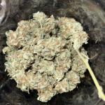 pineapple-express-auto-fem-barneys-farm.jpg