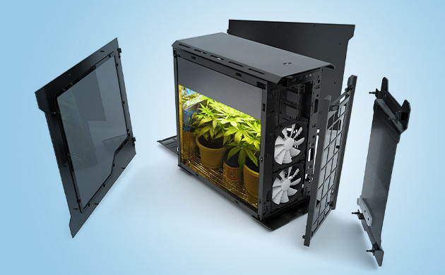 Развитие навыков стелс-гровинга