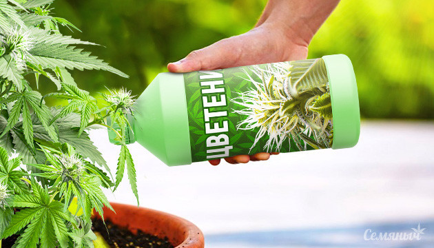 Удобрение конопли на фазе цветения