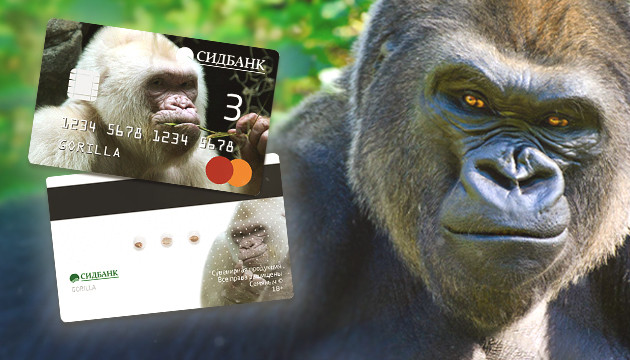 Сорт Gorilla fem