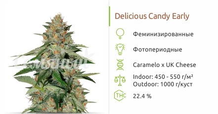 Delicious Candy Early Version от Delicious Seeds