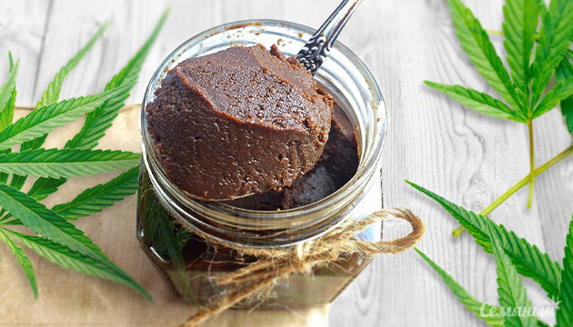 Польза и вред урбеча из семян конопли