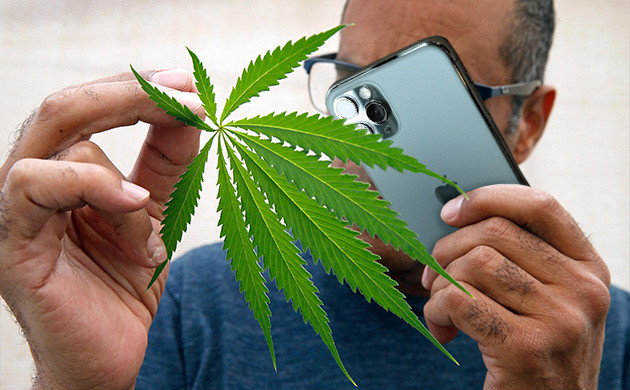 Станьте канна-блогером